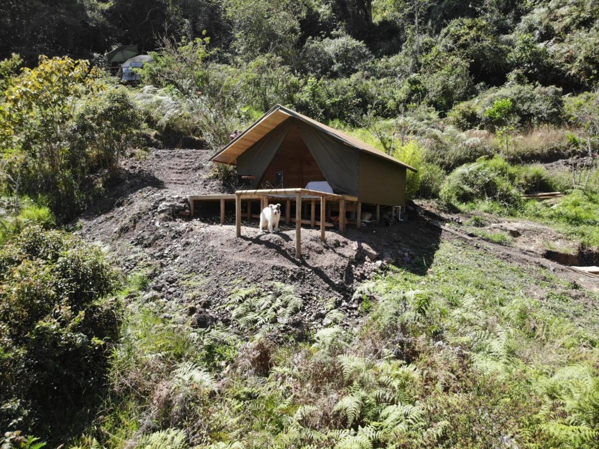 Cuspide Lodge - Choachí Exteriör bild