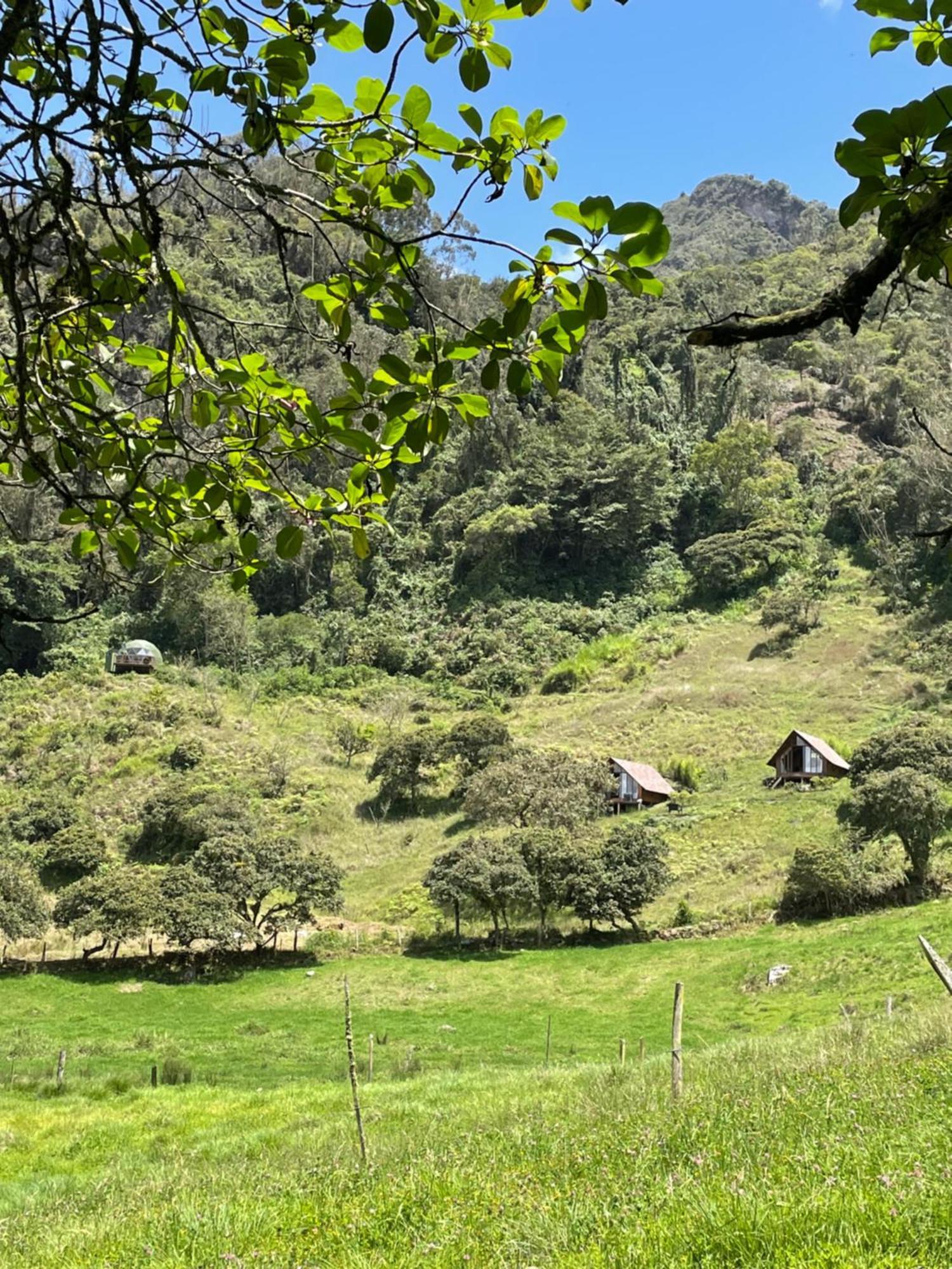 Cuspide Lodge - Choachí Exteriör bild